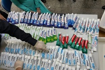 Khởi tố 78 bị can từ vụ 4 nữ tiếp viên Vietnam Airlines xách ma túy