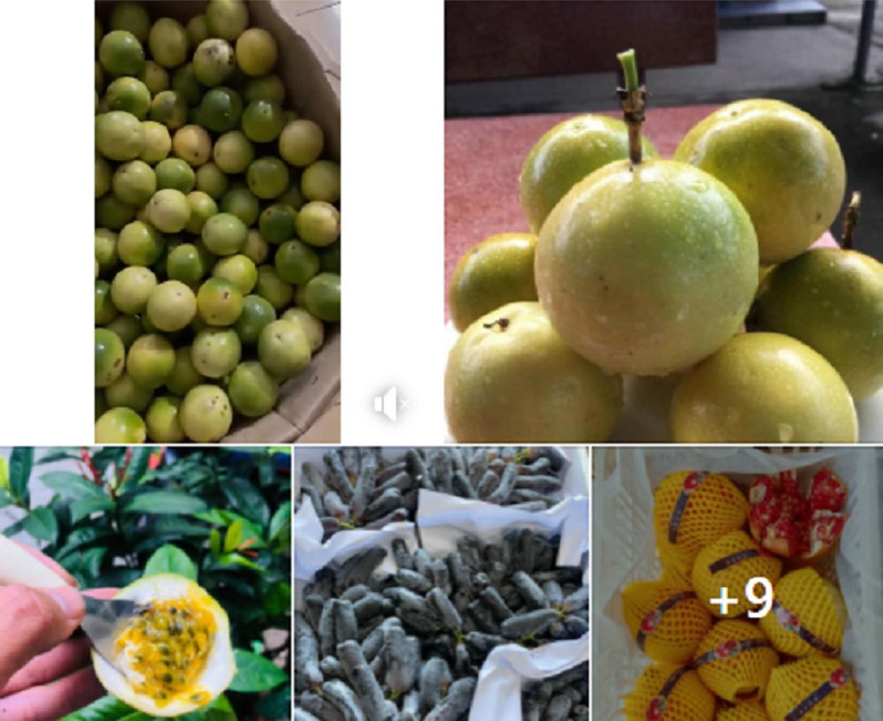 Bỏ lương 15 triệu ra làm riêng, suốt năm trời không ai tin tôi thành công - 2 Bỏ lương 15 triệu ra làm riêng, suốt năm trời không ai tin tôi thành công - 2