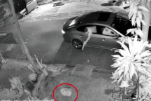 3 người đàn ông đi ô tô trộm chó trong 5 giây