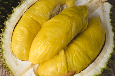 Sầu riêng ế ẩm, thiệt hại nặng do dịch Covid-19