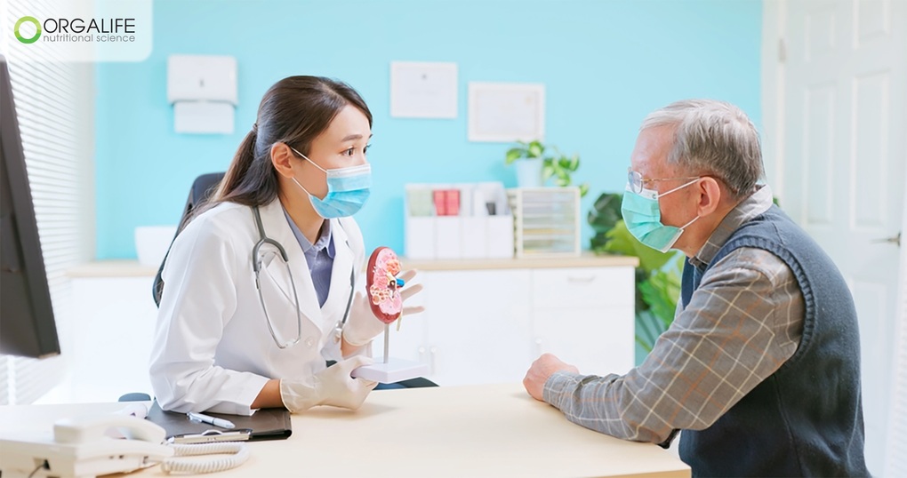 Leisure Kidney 1: Thực phẩm dinh dưỡng cho người cần giảm protein - 1 Leisure Kidney 1: Thực phẩm dinh dưỡng cho người cần giảm protein - 1