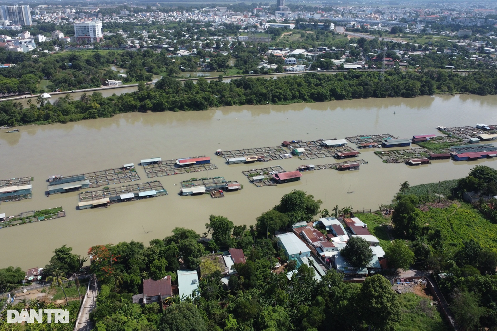 Vướng 20 bè cá, cầu Thống Nhất qua sông Cái thi công cầm chừng - 6 Vướng 20 bè cá, cầu Thống Nhất qua sông Cái thi công cầm chừng - 6