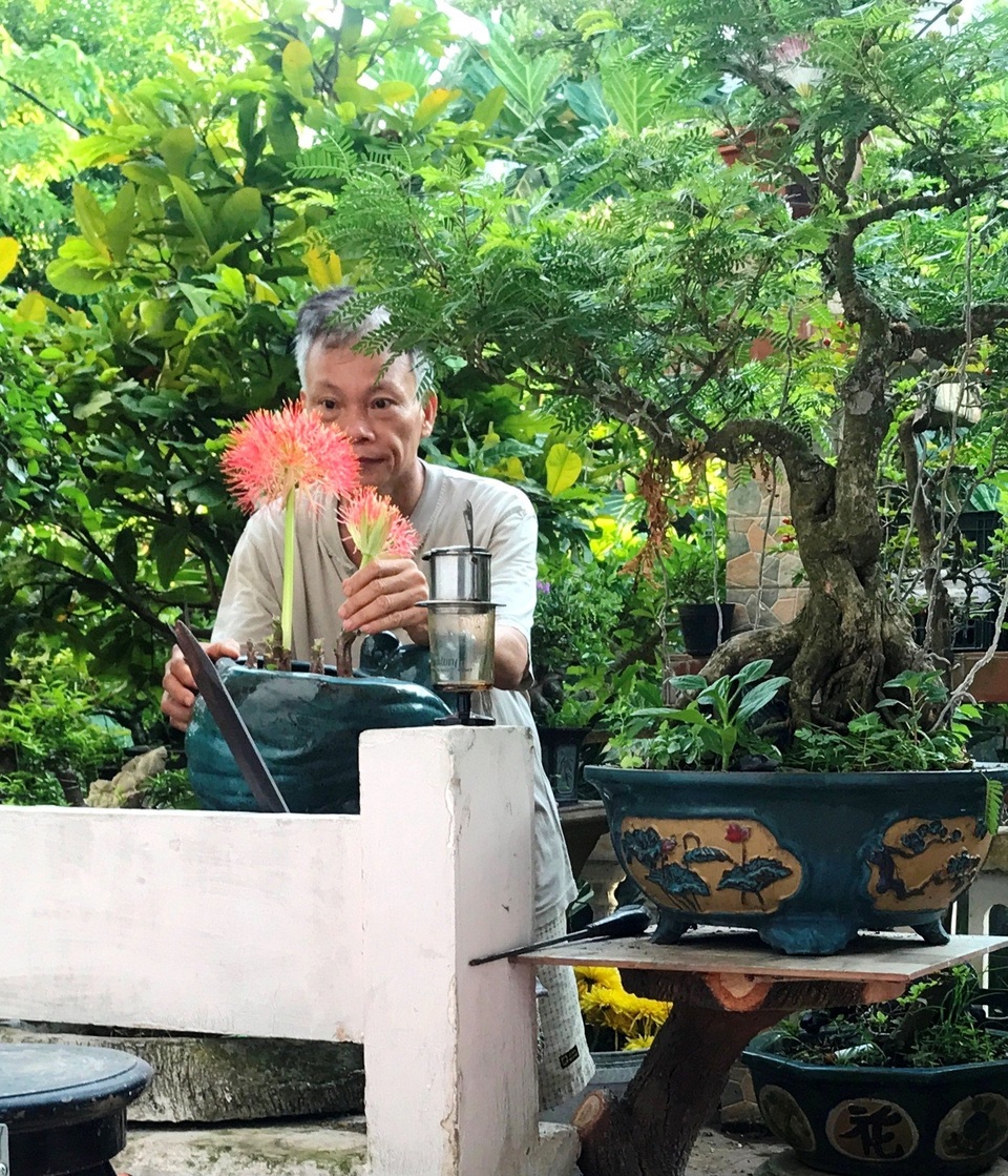 Vườn bonsai ngược trăm triệu đồng trên sân thượng nhà phố ở Quảng Nam - 15 Vườn bonsai ngược trăm triệu đồng trên sân thượng nhà phố ở Quảng Nam - 15