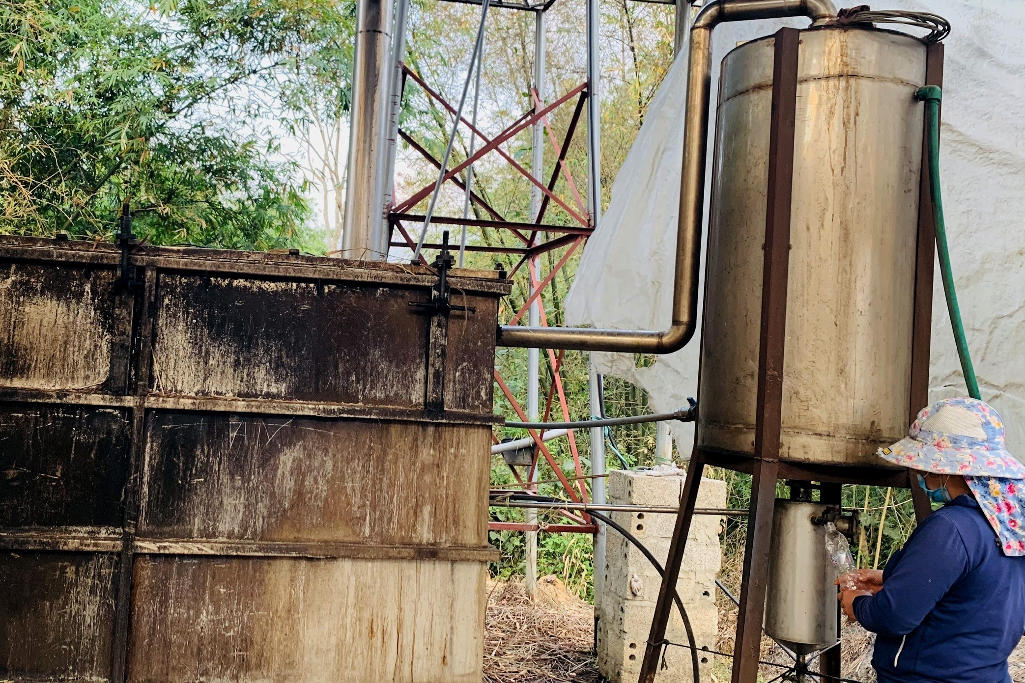 Kvinnelig regnskapsfører i 50-årene sluttet i jobben og tjente millioner ved å gå over til å lage essensielle oljer - 2 Nữ kế toán U50 nghỉ việc, kiếm tiền triệu khi chuyển hướng làm tinh dầu - 2