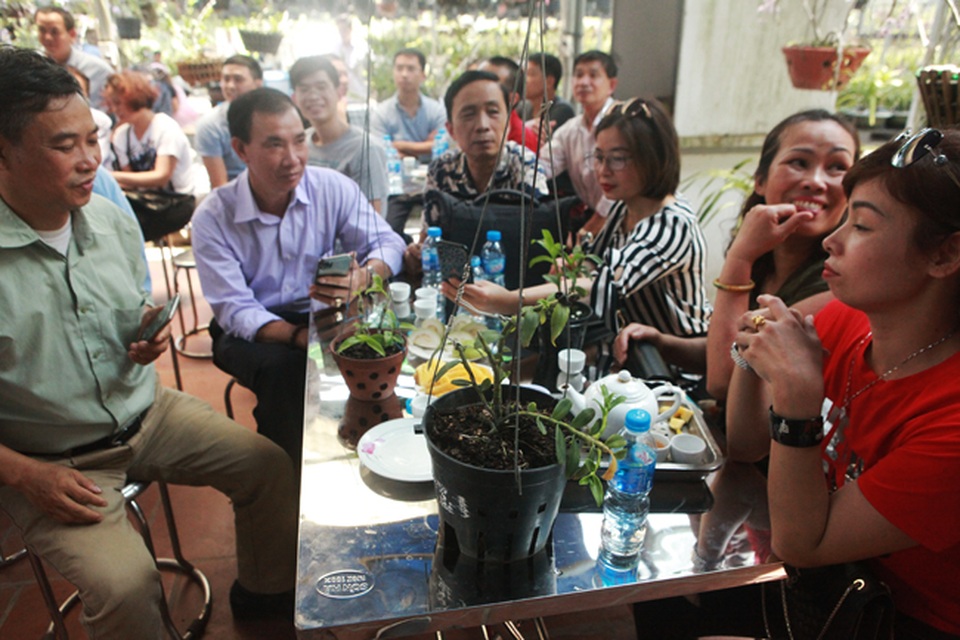 Choáng những giỏ hoa lan đột biến hiếm thấy ở Hà Nội, giá hàng trăm triệu - 2 Choáng những giỏ hoa lan đột biến hiếm thấy ở Hà Nội, giá hàng trăm triệu - 2