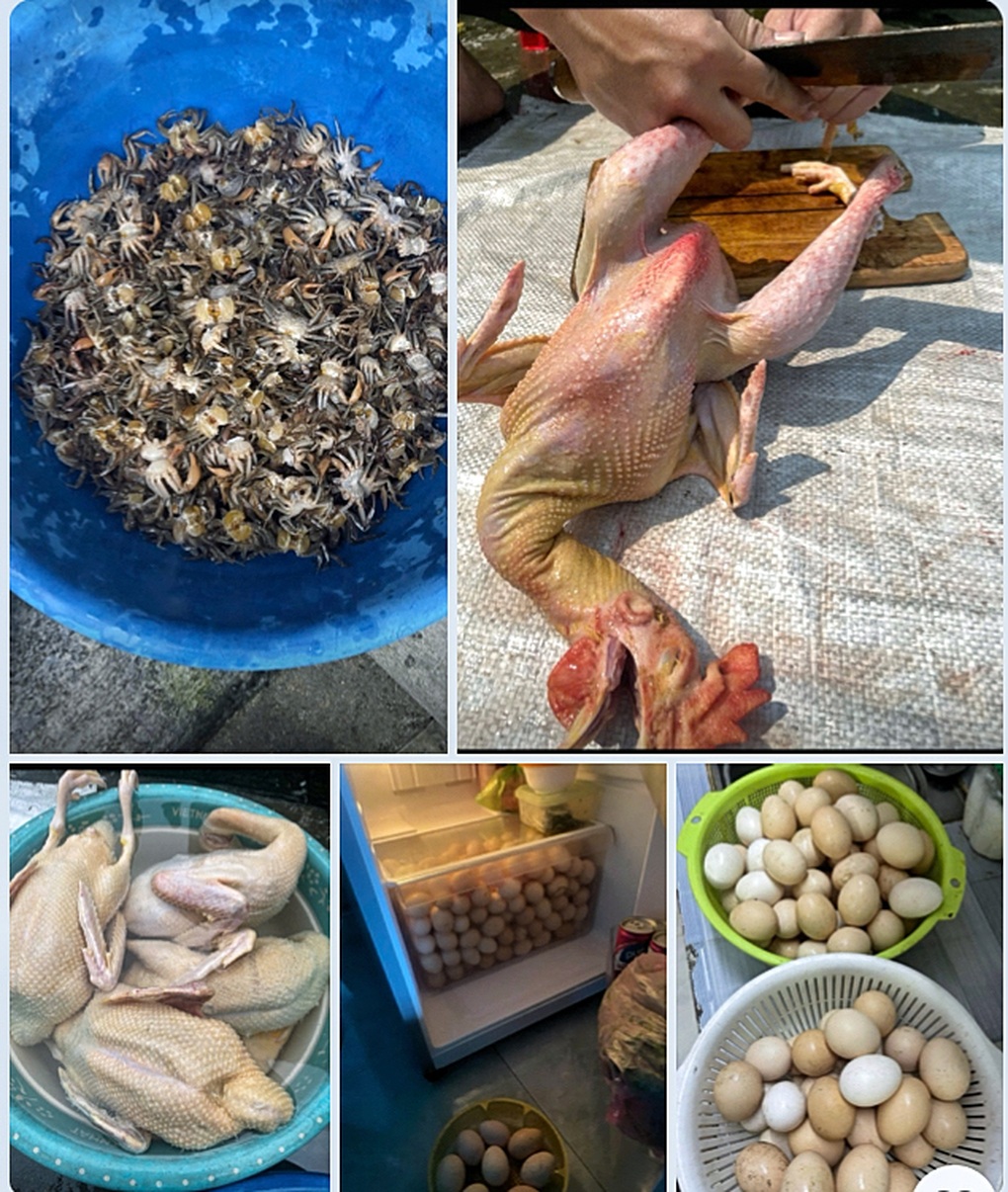 Chiến lợi phẩm con gái mang về thành phố sau kỳ nghỉ lễ 2/9 gây sửng sốt - 1 Chiến lợi phẩm con gái mang về thành phố sau kỳ nghỉ lễ 2/9 gây sửng sốt - 1