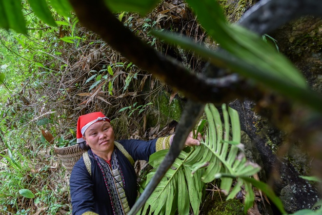 Băng rừng theo người Dao đỏ Sapa đi hái lá thuốc tắm thần dược - 13 Băng rừng theo người Dao đỏ Sapa đi hái lá thuốc tắm thần dược - 13