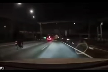 Tông trúng xác bò nằm trên cao tốc, ô tô bị hất tung lên cao