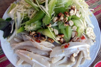 Sán làm tổ trong gan người đàn ông mê dê tái, gỏi cá