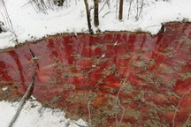 "Dòng sông máu" gây xôn xao cộng đồng mạng ở Nga