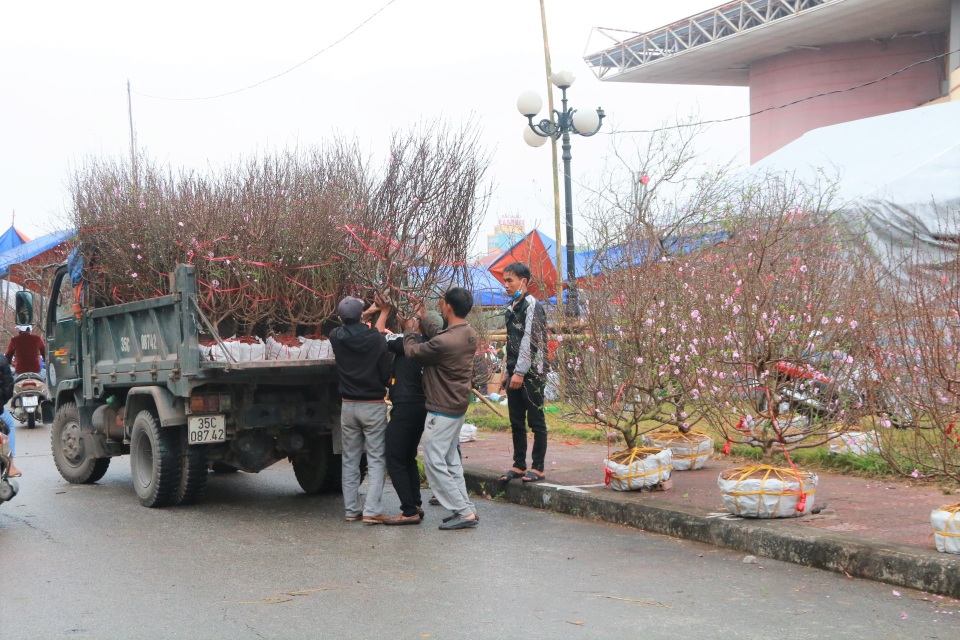 Người dân nô nức rước nàng xuân về nhà khi dịch Covid-19 được khống chế - 8 Người dân nô nức rước nàng xuân về nhà khi dịch Covid-19 được khống chế - 8