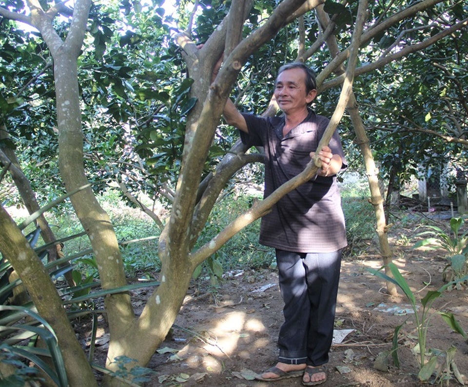 Từ người bán vé số dạo nơi thị thành đến vua bưởi da xanh - 1