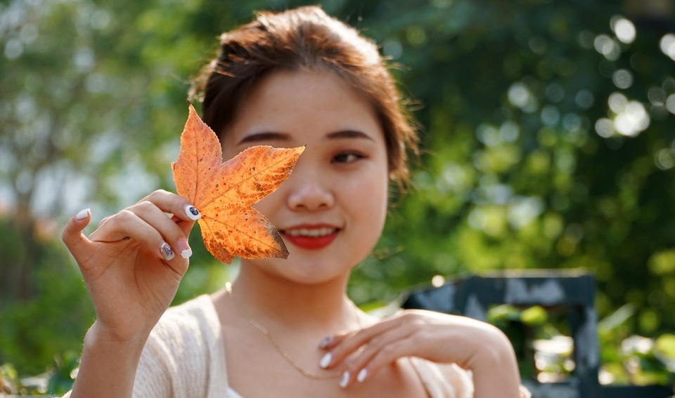 Con đường phong lá đỏ tuyệt đẹp lãng mạn như trời Âu ở Hà Nội - 9 Con đường phong lá đỏ tuyệt đẹp lãng mạn như trời Âu ở Hà Nội - 9