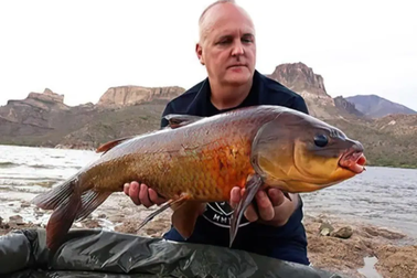 Bí mật lộ diện giữa hồ nước ở sa mạc Mỹ: Có loài cá trâu sống hơn 100 tuổi