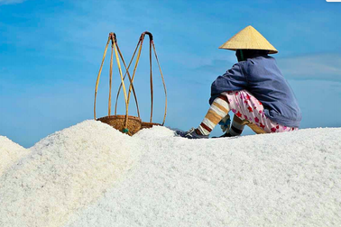 Việt Nam nằm trong 19 nước còn lại trên thế giới bị thiếu... I-ốt