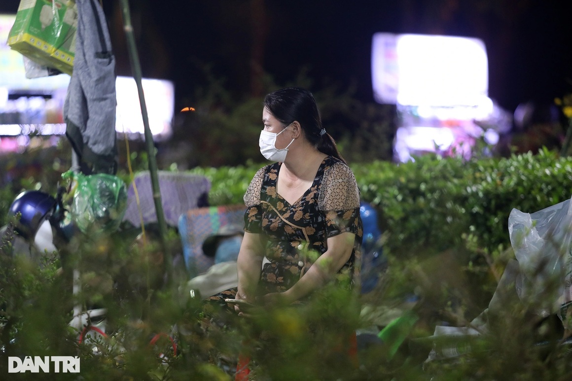 Người bán hoa mắc màn, võng... xuyên đêm canh cây cảnh Tết ở TPHCM - 9 Người bán hoa mắc màn, võng... xuyên đêm canh cây cảnh Tết ở TPHCM - 9
