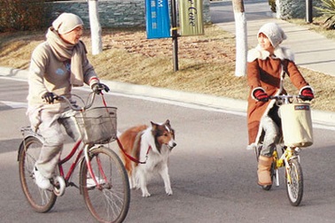 Trương Vệ Kiện sắp làm đám cưới tại Phillipines