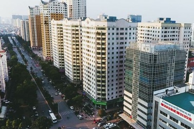 The Golden Palm có gì để hút khách hàng?