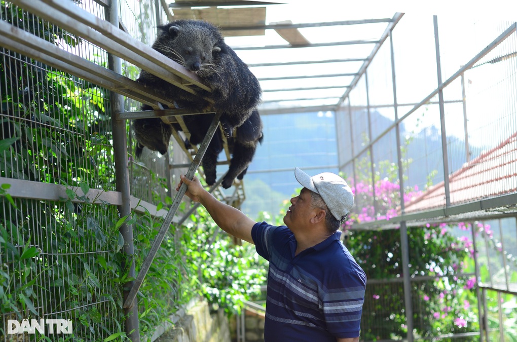 Người tái sinh động vật: Từ vay tiền cứu voi đến sở hữu vườn thú với hàng nghìn cá thể quý hiếm