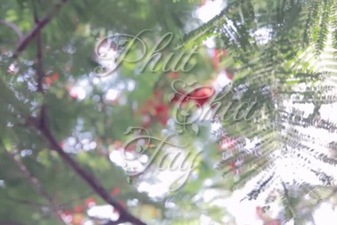 Phút chia tay - Lưu Quang Trung