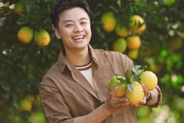 Vườn cam rốn lồi ngọt đậm hút khách ở Mộc Châu, chủ vườn thu về tiền tỷ