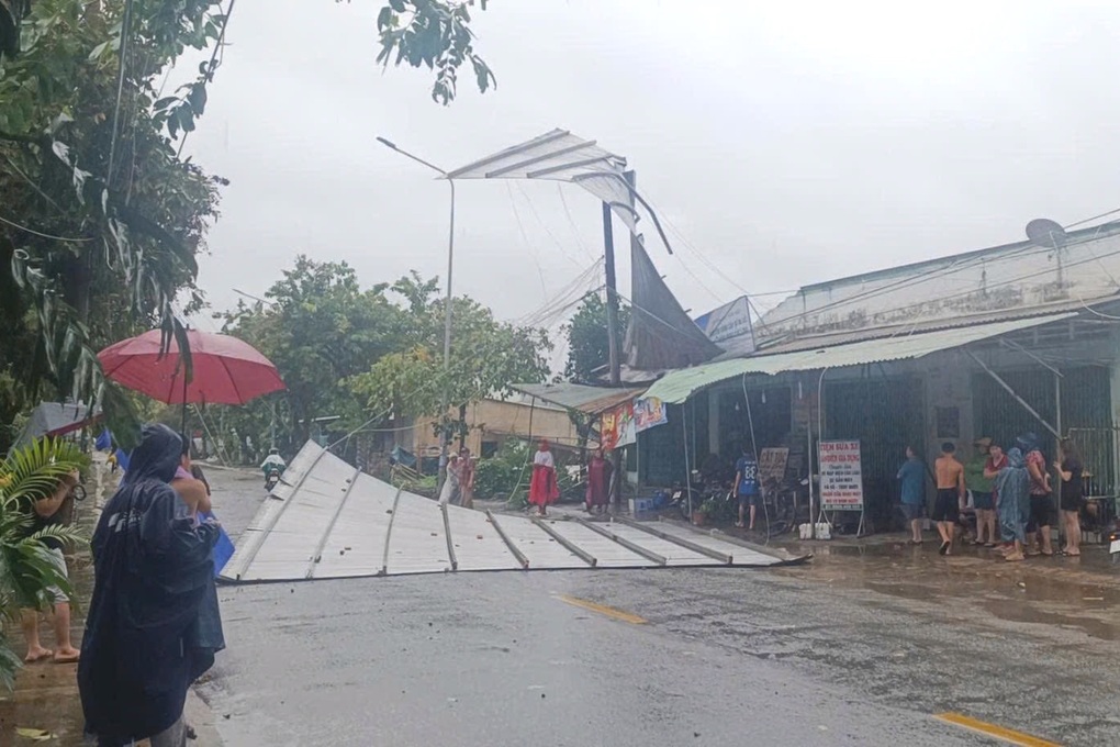 Mưa lớn kèm gió giật mạnh, nhiều cây xanh bị ngã đổ ở Đồng Nai - 2 Mưa lớn kèm gió giật mạnh, nhiều cây xanh bị ngã đổ ở Đồng Nai - 2