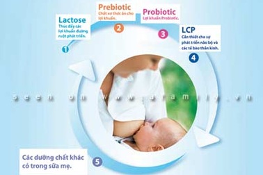 HIPP Combiotic® - Thế hệ dinh dưỡng tiên tiến với tiêu chuẩn vàng từ sữa mẹ 