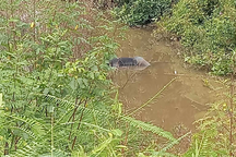 Thi thể người đàn ông nổi trên kênh sau 2 ngày mất tích