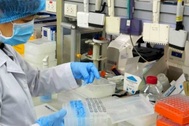 22 phòng xét nghiệm được khẳng định kết quả xét nghiệm Covid-19