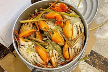 Gia đình ở Hà Nội mang 15kg cua, 100 quả trứng du lịch Sầm Sơn