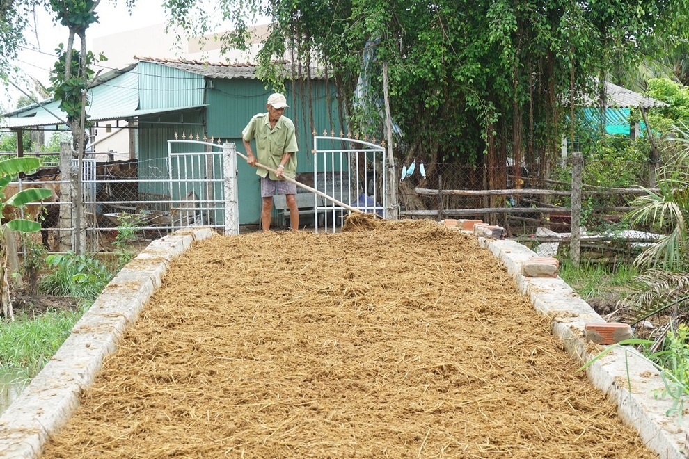 Bến Tre: Nhiều gia đình sống khỏe nhờ nuôi bò bán giống lẫn phân - 5 Bến Tre: Nhiều gia đình sống khỏe nhờ nuôi bò bán giống lẫn phân - 5