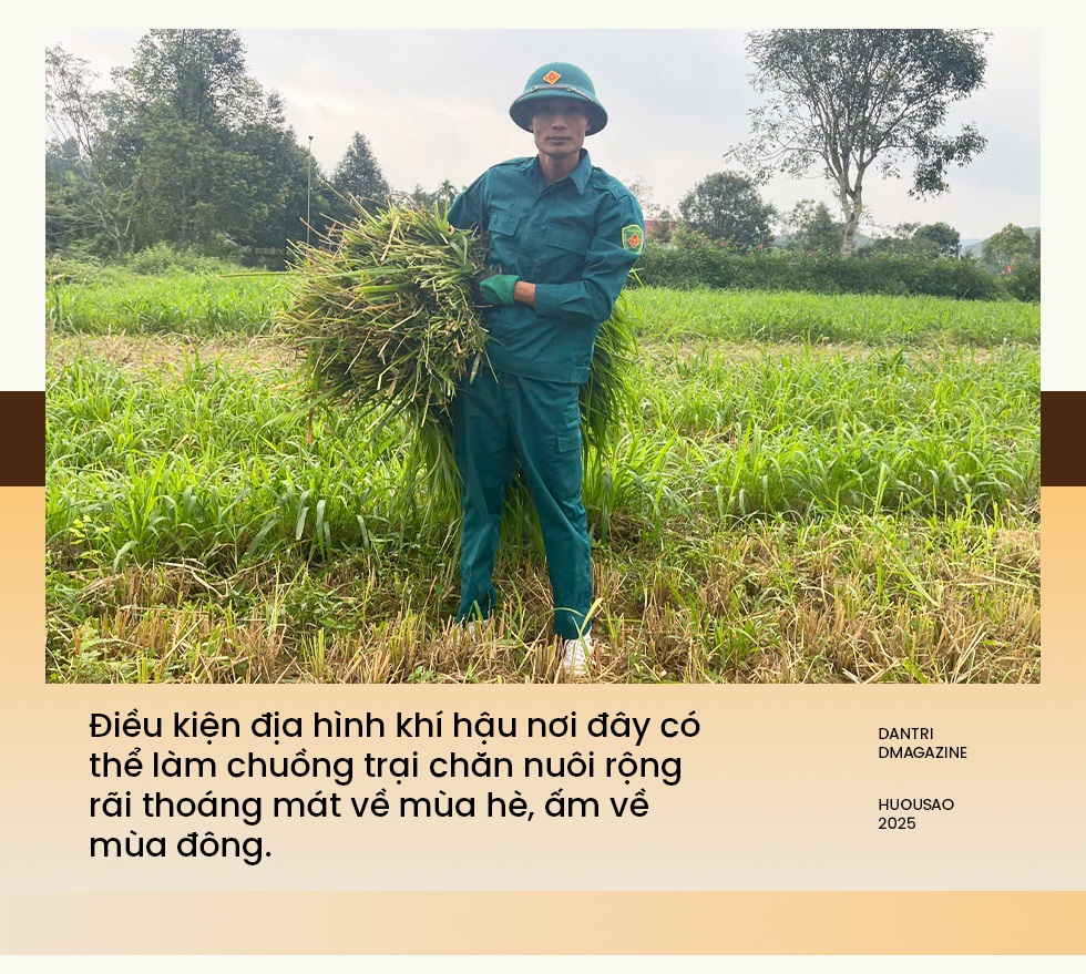 Làm giàu từ mô hình nuôi hươu sao - 5