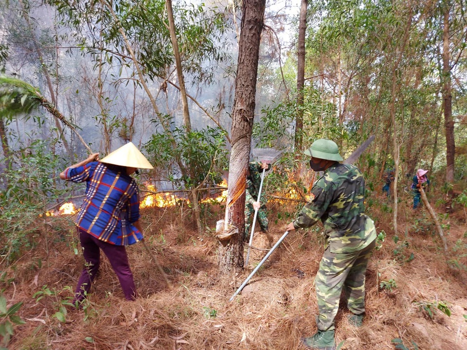 Triệu tập người phụ nữ liên quan đến vụ cháy rừng - 3 Triệu tập người phụ nữ liên quan đến vụ cháy rừng - 3