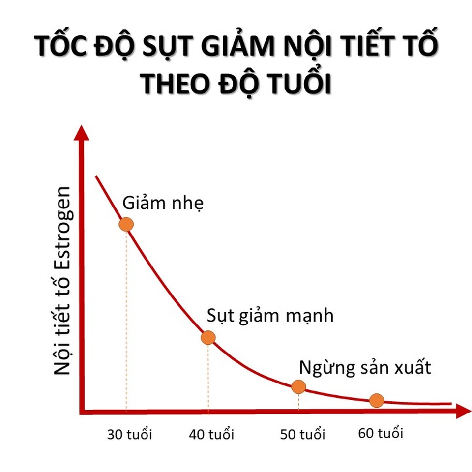 Thiên môn chùm có thực sự tốt cho phụ nữ tiền mãn kinh? - 2 Thiên môn chùm có thực sự tốt cho phụ nữ tiền mãn kinh? - 2