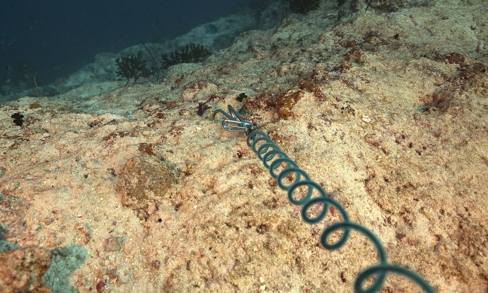 Khách Việt chi 50 triệu đồng và hành trình săn cá mập khát máu ở Maldives - 3 Khách Việt chi 50 triệu đồng và hành trình săn cá mập khát máu ở Maldives - 3