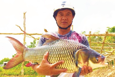 Xóm lặn "độc nhất" miền Tây