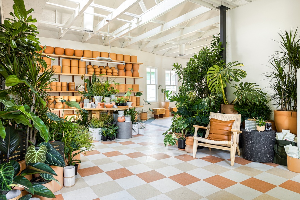 Quán cà phê đẹp như tranh, phủ xanh không gian bằng hệ thực vật phong phú - 8 Quán cà phê đẹp như tranh, phủ xanh không gian bằng hệ thực vật phong phú - 8