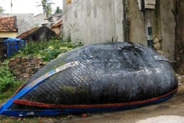 Lật thuyền, một ngư dân mất tích 