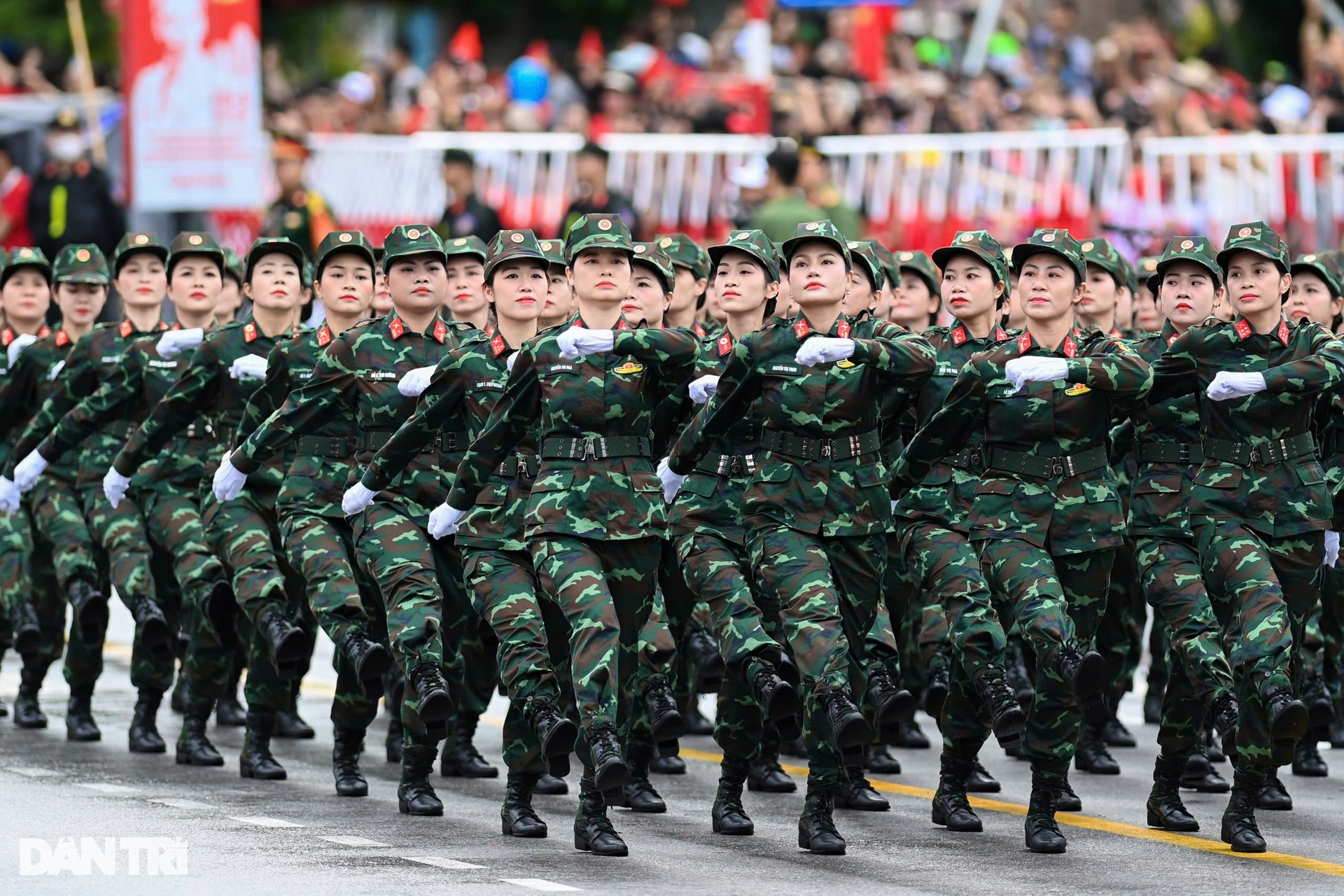 Các bóng hồng rạng rỡ trong lễ kỷ niệm 70 năm Giải phóng Hải Phòng - 1 Các bóng hồng rạng rỡ trong lễ kỷ niệm 70 năm Giải phóng Hải Phòng - 1