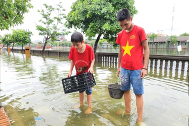 Phố cổ Hoa Lư ngập nước, người dân đổ xô lội nước bắt cá