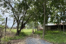 Đường đi chung bị lấn chiếm nhiều năm, nông dân hết đường ra đồng!