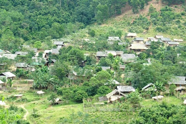 Xuân về trên Bản Phồng