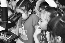 Đủ cách ép trẻ học thêm hè