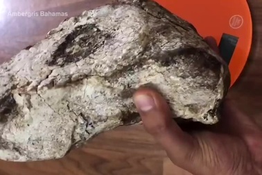 Tại sao Long Diên Hương lại quý hơn vàng?