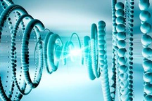 Vật thể nào nhanh nhất trên Trái Đất?