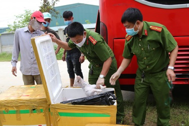 Bắt xe giường nằm chở 2,4 tấn thịt chó, mèo hôi thối