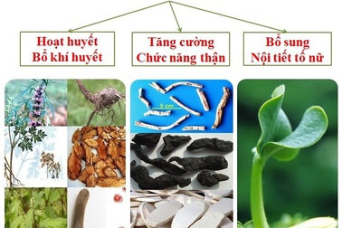 Giải pháp mới “hồi xuân” cho phái đẹp