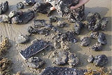 Vết dầu bí ẩn đã loang đến miền Bắc