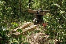 Tiếng thét đau đớn của rừng xanh Tây Nguyên: "Cháy nhà ra mặt chuột"!