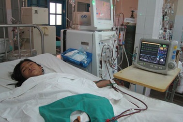 Thoát chết sau khi bị ong vò vẽ đốt hơn 80 mũi